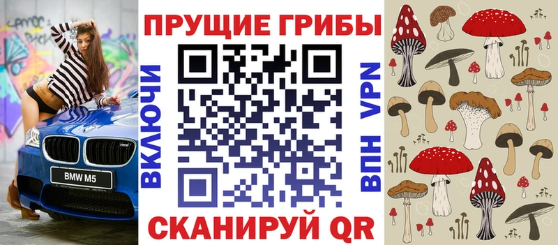 Псилоцибиновые грибы Cubensis Озёры