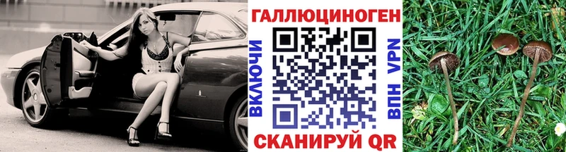 KRAKEN маркетплейс  площадка клад  Псилоцибиновые грибы Psilocybine cubensis  Озёры 